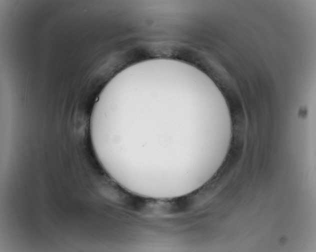 X0000100980125200807151424