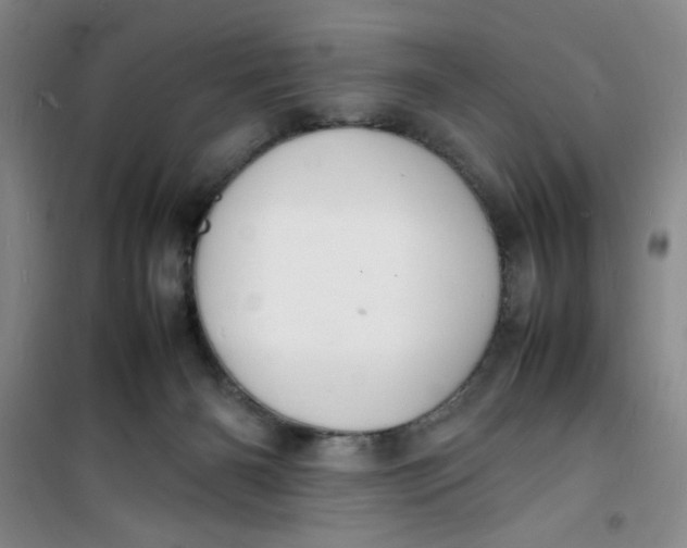 X0000100980126200807151424