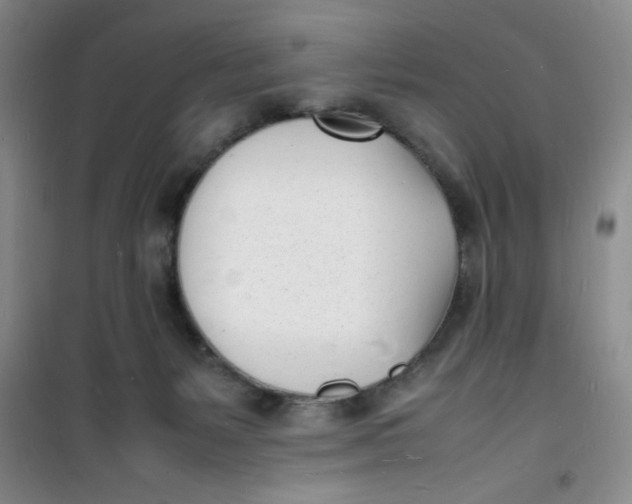 X0000100980127200807151424