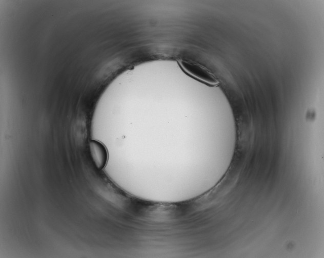 X0000100980128200807151424