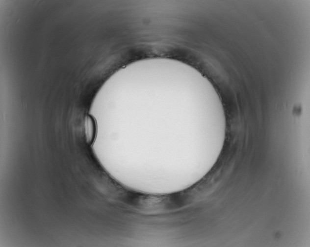 X0000100980129200807151424