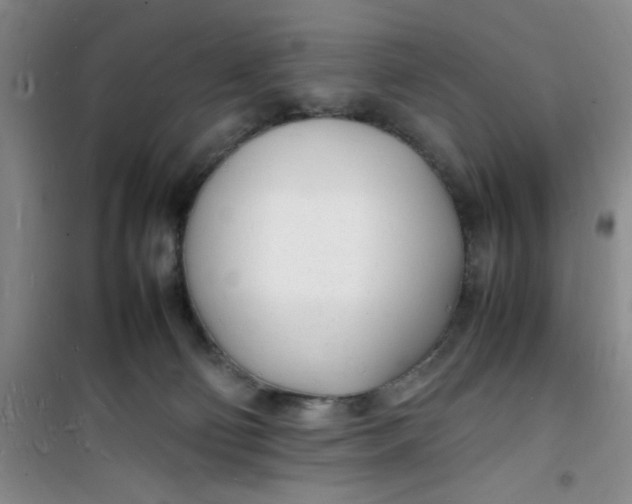 X0000100980130200807151424