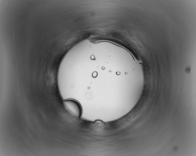 X0000100980131200807151424