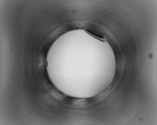 X0000100980132200807151424