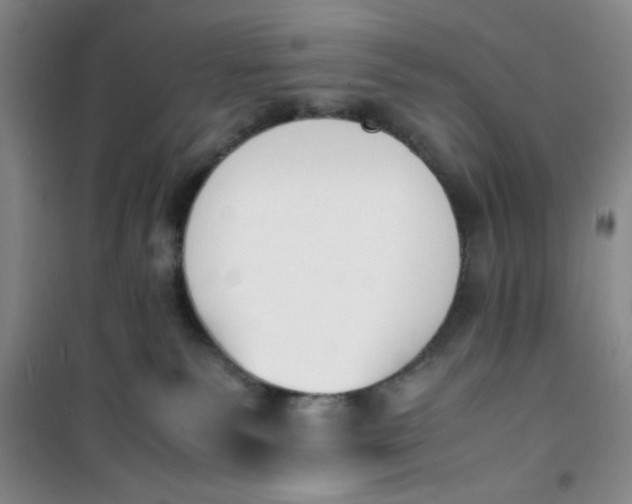 X0000100980135200807151424