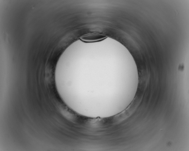 X0000100980136200807151424