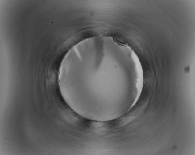 X0000100980139200807151424