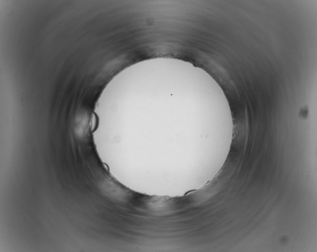 X0000100980142200807151424