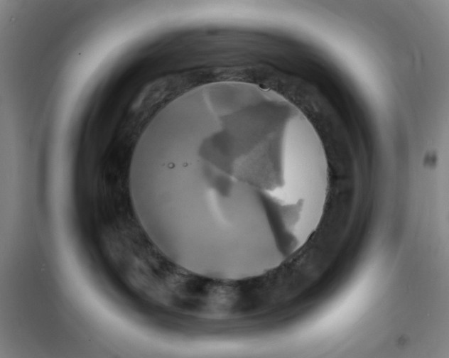 X0000100980143200807151424