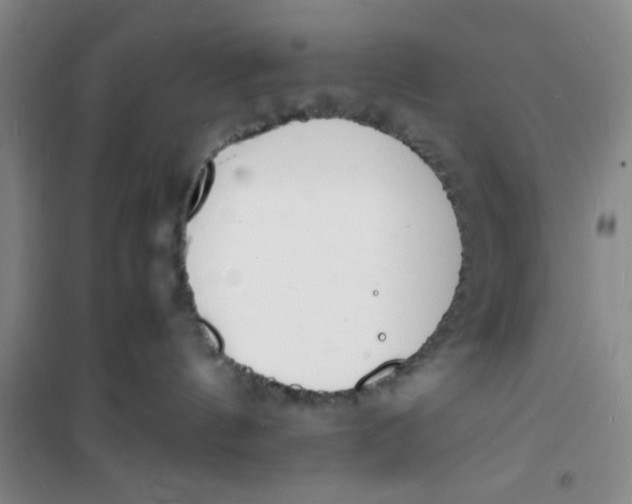 X0000100980144200807151424