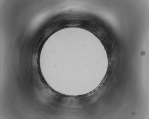 X0000100980146200807151423