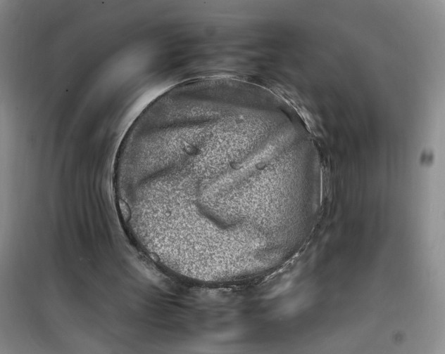 X0000100980147200807151423