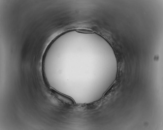 X0000100980148200807151423