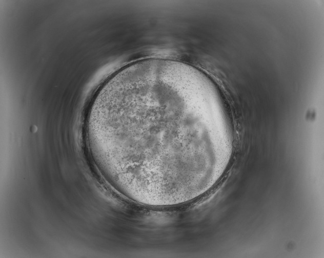 X0000100980149200807151423