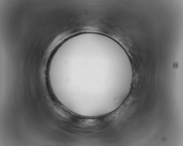 X0000100980151200807151423