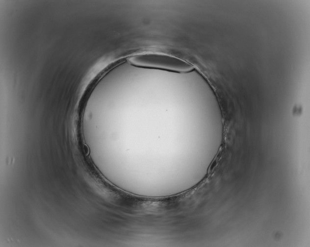 X0000100980152200807151423