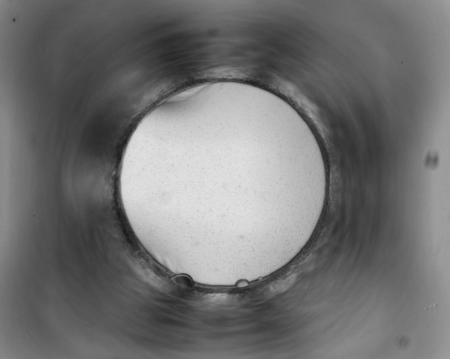 X0000100980153200807151424