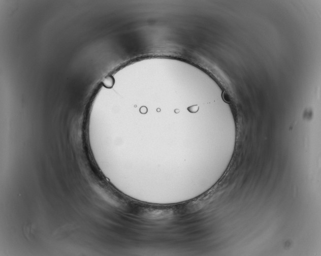 X0000100980155200807151424