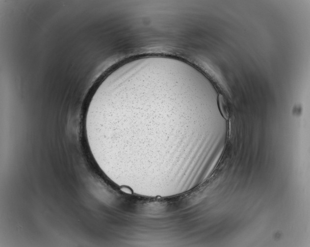 X0000100980156200807151424