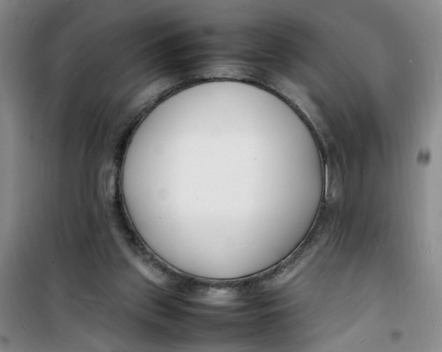 X0000100980157200807151424