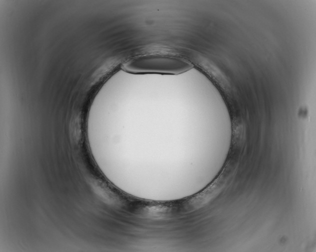 X0000100980158200807151424