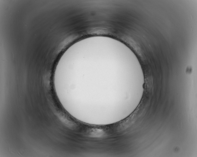 X0000100980159200807151424