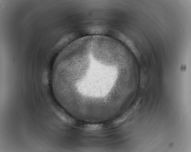 X0000100980161200807151424