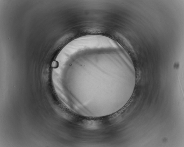 X0000100980163200807151424