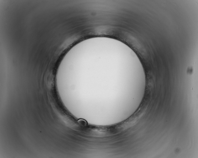 X0000100980164200807151424