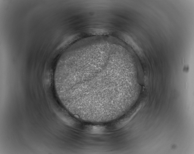 X0000100980165200807151424