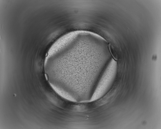 X0000100980168200807151424