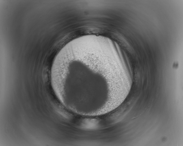 X0000100980169200807151424