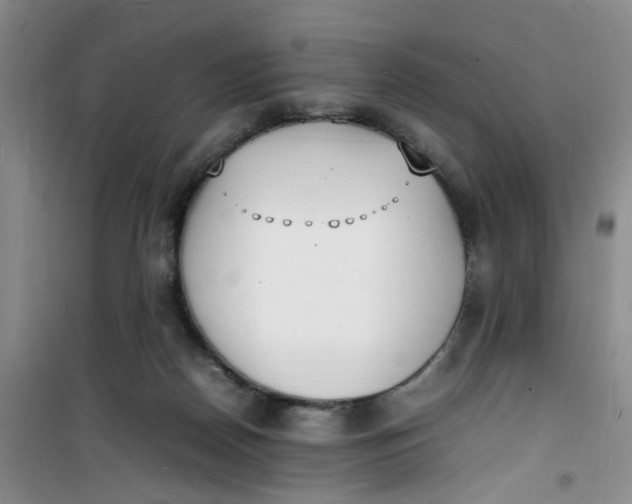 X0000100980170200807151424