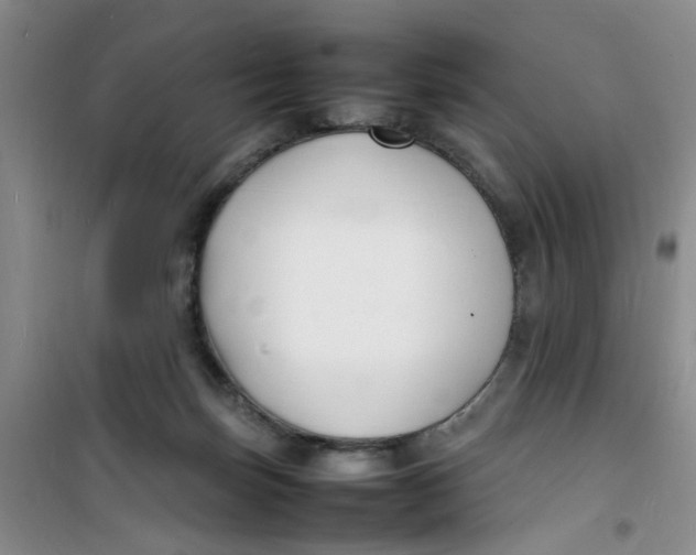 X0000100980171200807151424