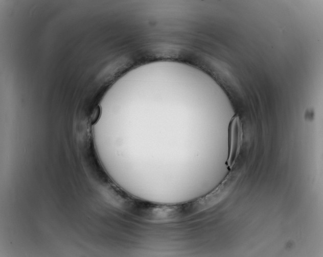 X0000100980172200807151424