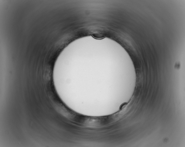 X0000100980174200807151424