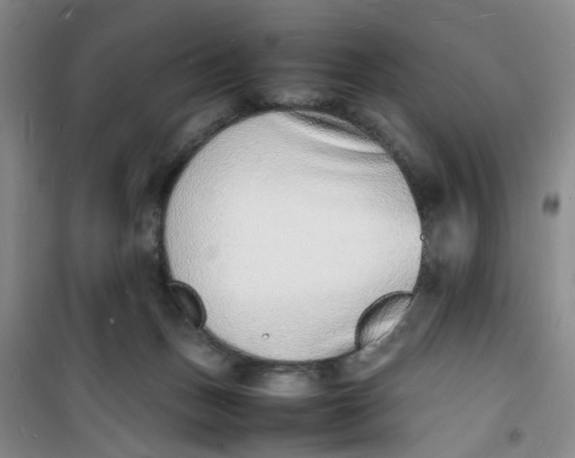 X0000100980175200807151424