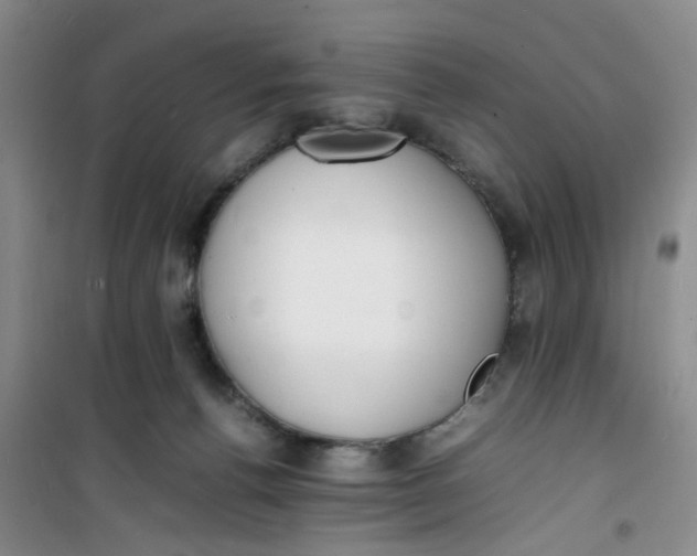 X0000100980176200807151424