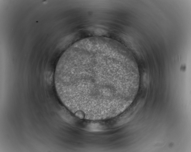 X0000100980177200807151424