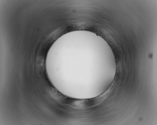 X0000100980178200807151424