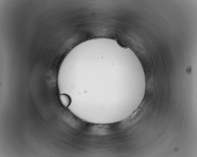 X0000100980179200807151424