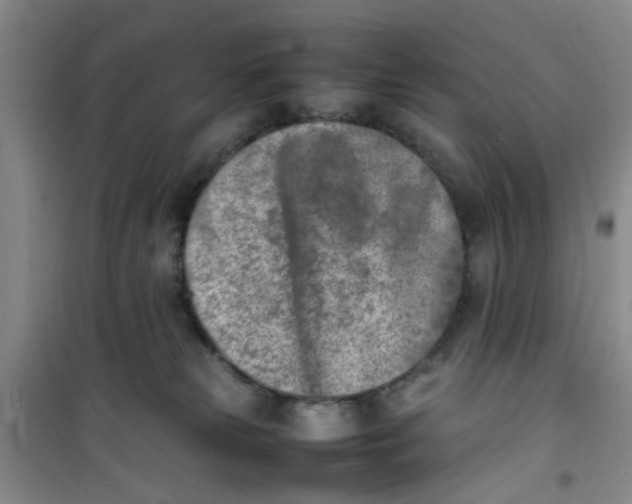 X0000100980181200807151424