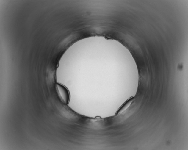 X0000100980188200807151424