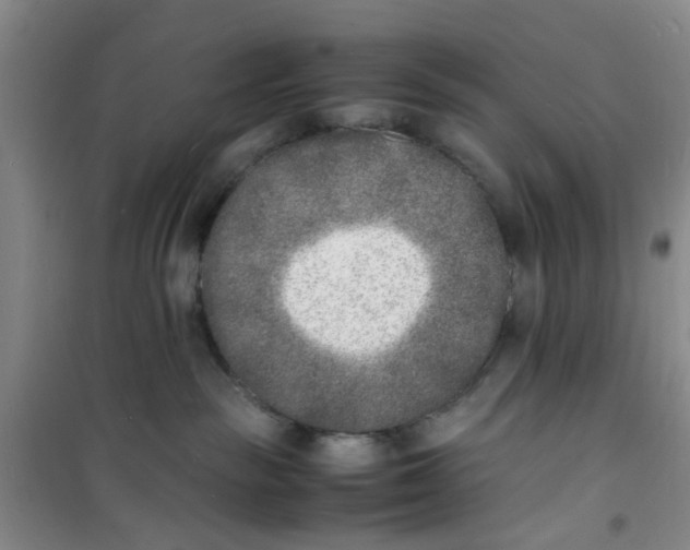 X0000100980189200807151424