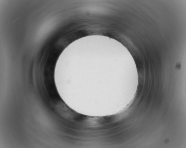 X0000100980190200807151424