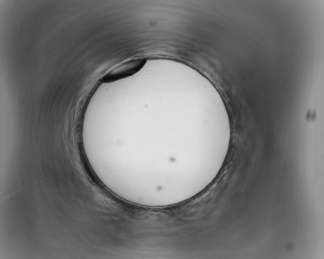 X0000100980193200807151423