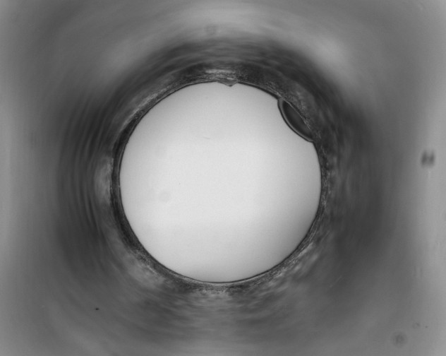 X0000100980194200807151423