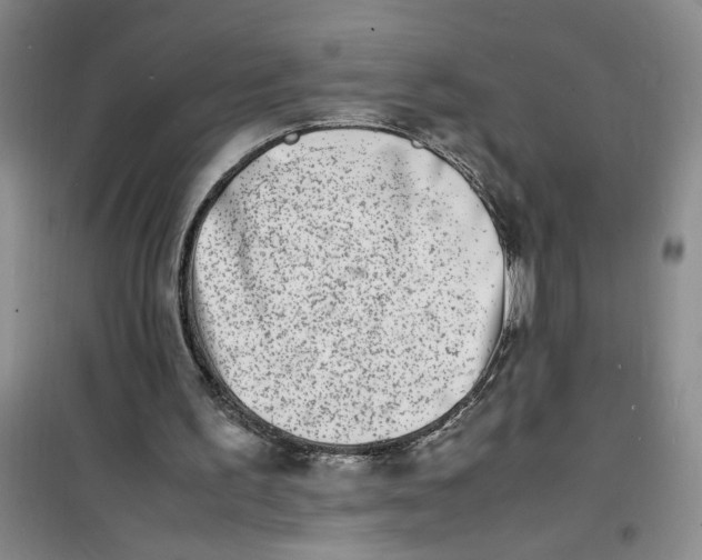 X0000100980195200807151423