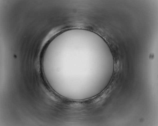 X0000100980198200807151423