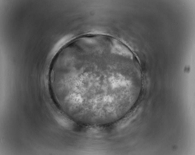 X0000100980199200807151423